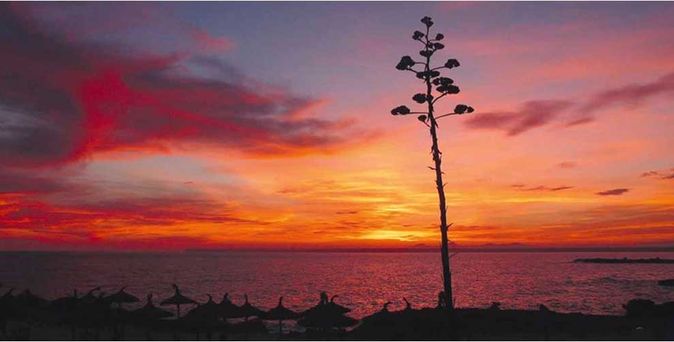 Universal Mallorca Travel Wanderwoche mit der Schweizer Familie Ausflug Wanderung Colonia Sant Jordi
