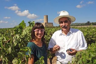 Abbildung