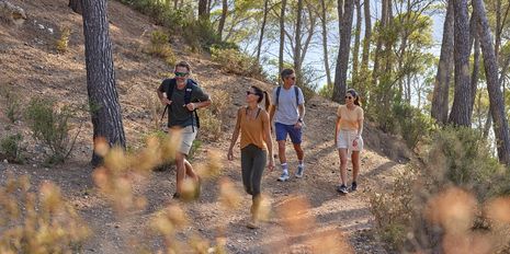 Universal Mallorca Travel Wandern Wanderferien Wanderurlaub Gruppe beim Wandern Wald