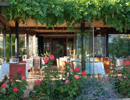 Universal Mallorca Travel Aimia hotel