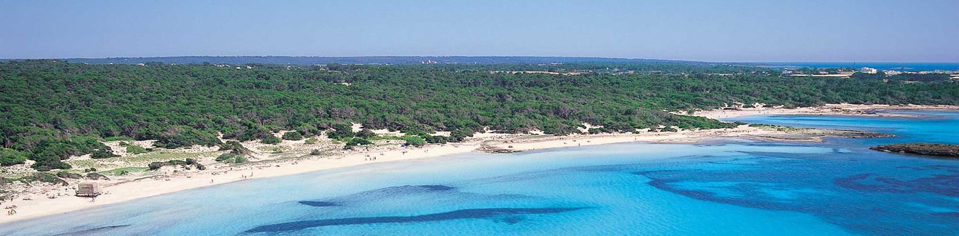 Universal Mallorca Travel Universal Hotels Grand León Marqués Cabo Blanco Romantica