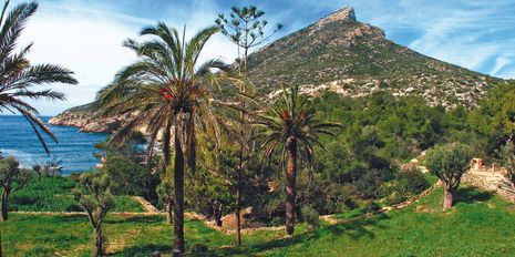 Universal Mallorca Ferien Ausflug Insel Sa Dragonera Wanderung Ornithologie