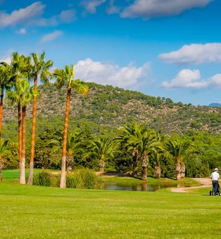 Universal Mallorca Travel Golf Golfplatz TGolf und Country Club Calvia Mallorca Green Golfer Golfwagen Palmen Berg