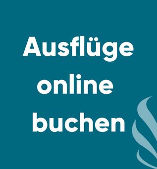 Ausflüge online buchen