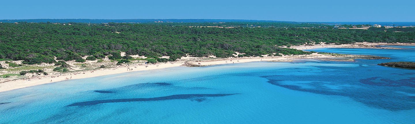 San Jordi - Mallorca