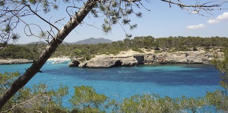 Universal Mallorca Ferien Naturpark Mondrago Ausflug Wanderung