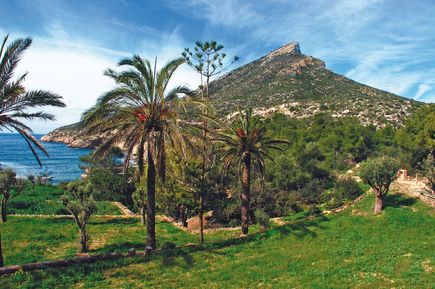 Universal Mallorca Travel Ausflug Insel Sa Dragonera Wanderung Ornithologie