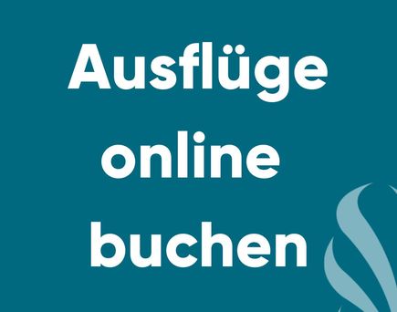 Ausflüge online buchen