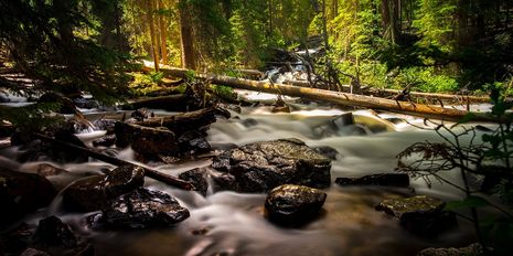 Universal Mallorca Ferien Naturdenkmal Fonts Ufanes Ausflug Natur Wald Wasser