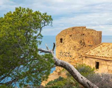 Torre de cala en basset