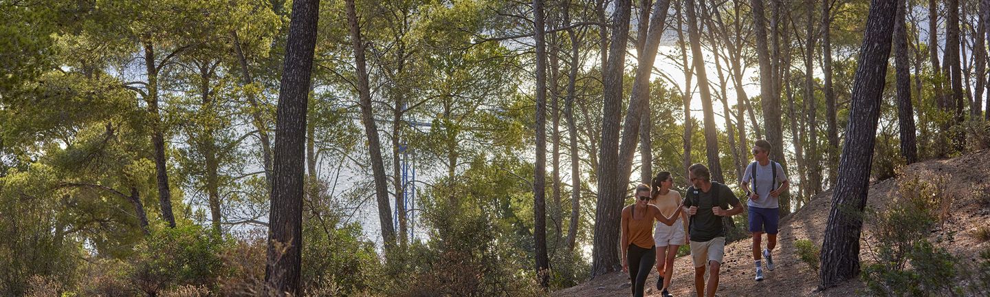 Universal Mallorca Travel Wandern Gruppe im Wald