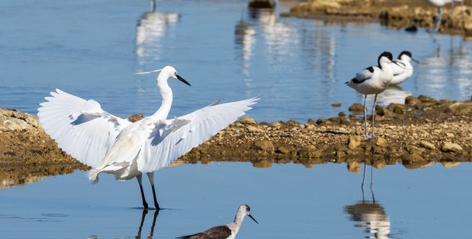 Universal Mallorca Travel Narupark s'Albufera Ausflug