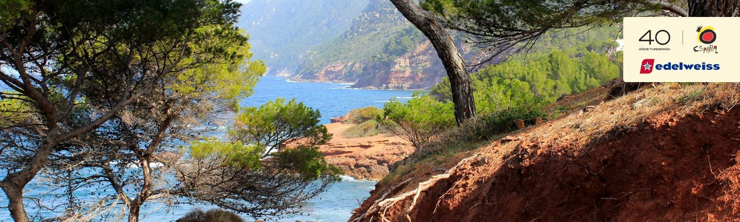 Wanderung Küsten Natur auf Mallorca Blick auf das Meer