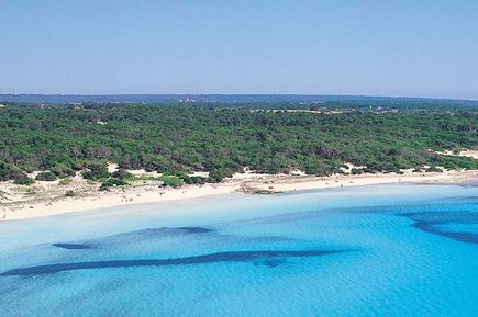 Colònia de Sant Jordi