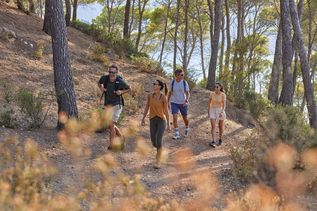 Universal Mallorca Travel Wandern Wanderferien Wanderurlaub Gruppe beim Wandern Wald