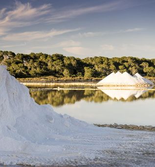 Universal Mallorca Travel Colonia Sant Jordi Salinas d'Es Trenc Salinen Flor de Sal 