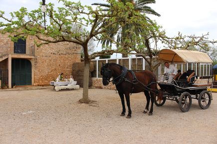 Arta Santuario de Sant Salvador