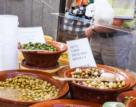 Universal Mallorca Travel Wanderwoche mit der Schweizer Familie Ausflug Wanderung Oliven