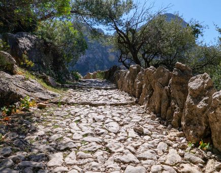 Universal Mallorca Travel Wanderwoche mit der Schweizer Familie Ausflug Wanderung Caminata Biniaraix